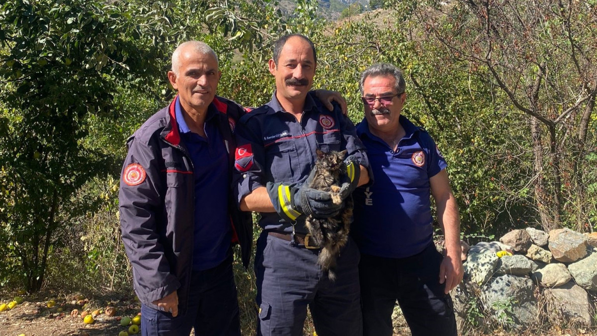 Kafası Kutuda Sıkışan Kediye İtfaiye Yardımı!